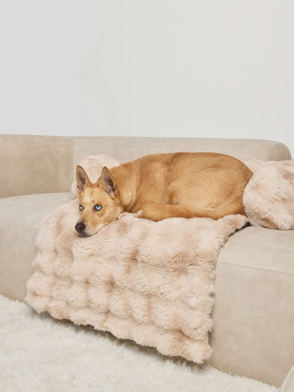 NuvoraPets® Dream Cloud Dierendeken