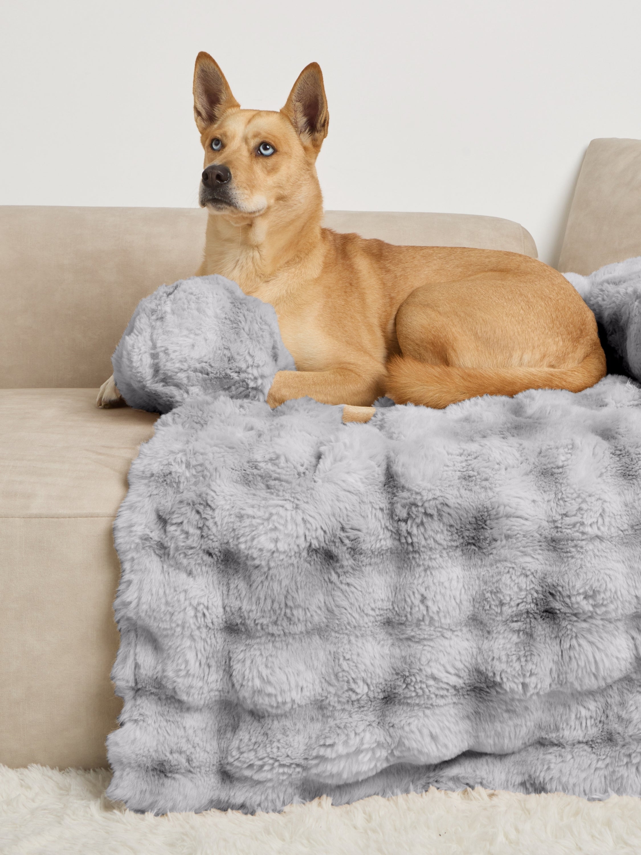 NuvoraPets® Dream Cloud Pet Blanket