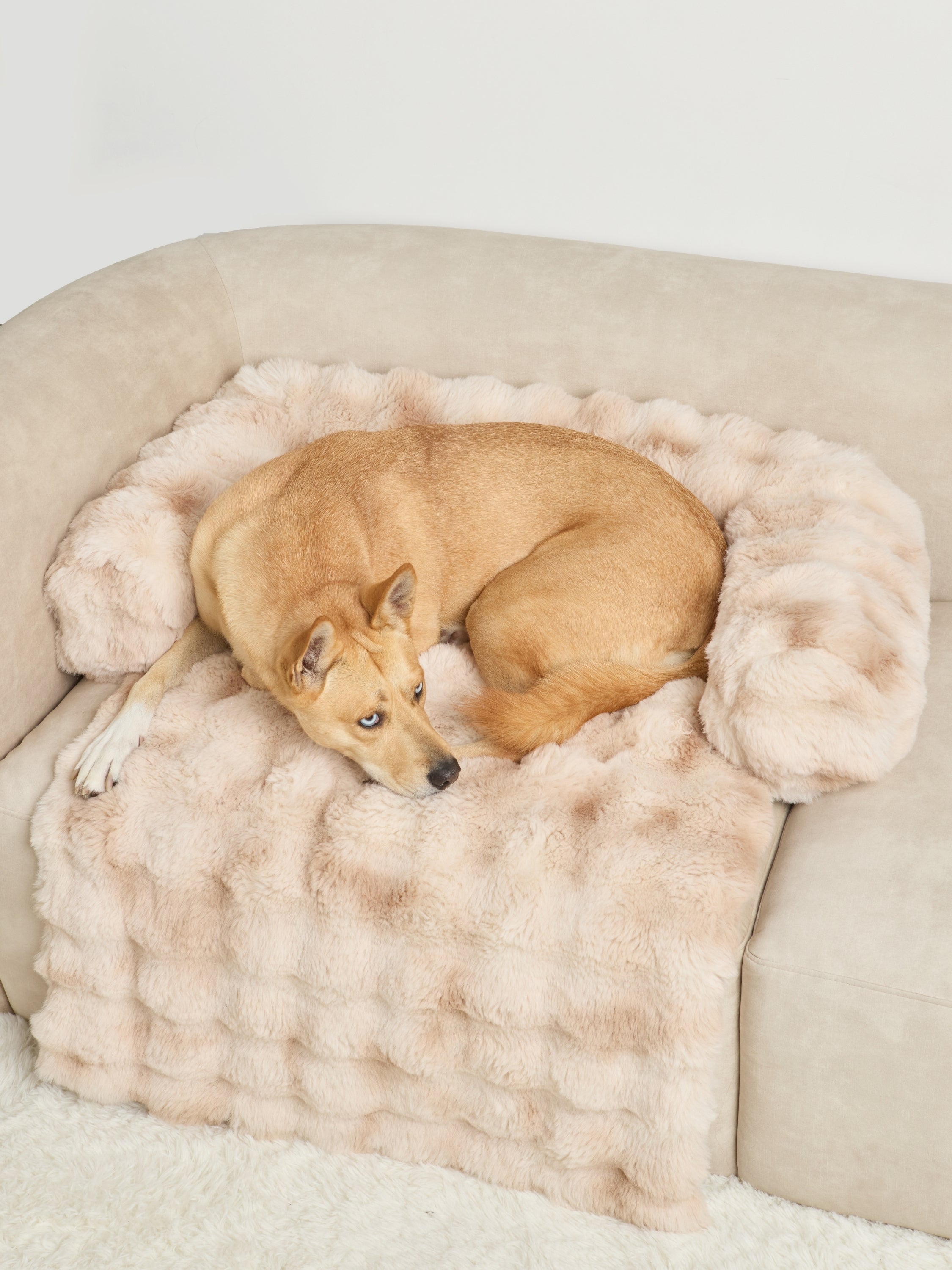 NuvoraPets® Dream Cloud Pet Blanket