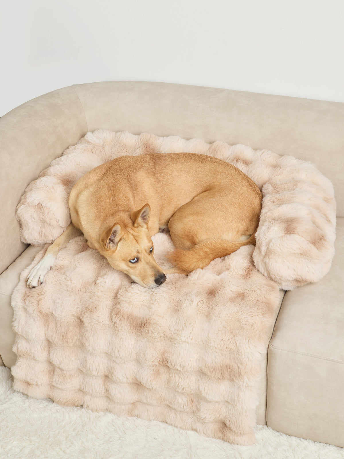 NuvoraPets® Dream Cloud Dierendeken