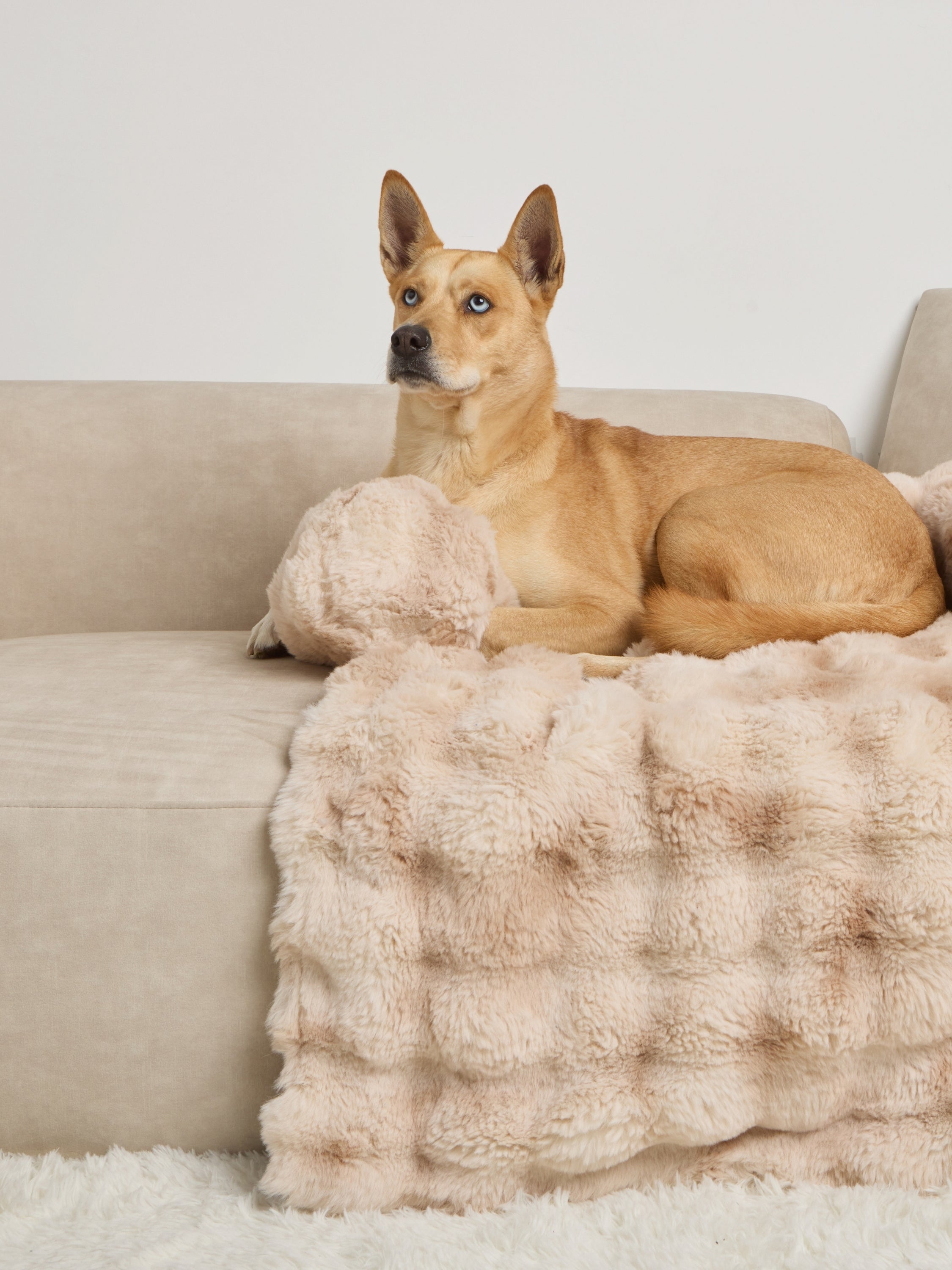 NuvoraPets® Dream Cloud Pet Blanket