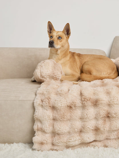 NuvoraPets® Dream Cloud Dierendeken